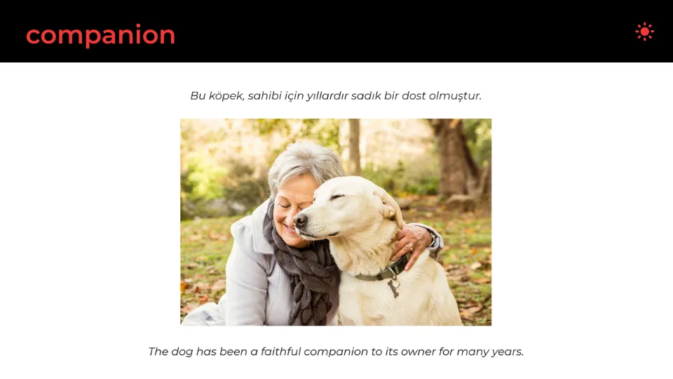 Companion