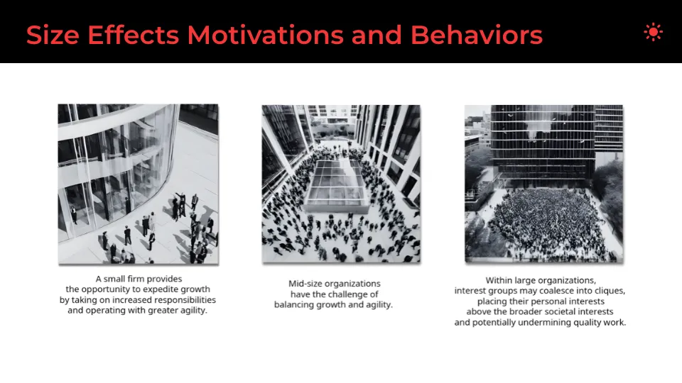 Size Effects Motivations And Behaviors